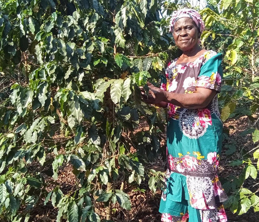 Peaberry Coffee: A Rare and Delicious Coffee with a Unique Flavour